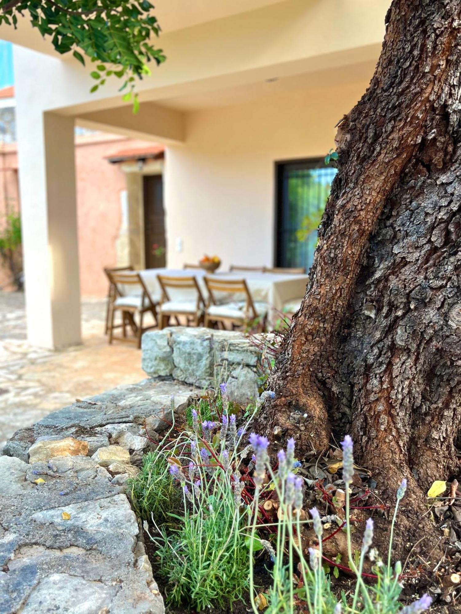 The Yard Gavalochori